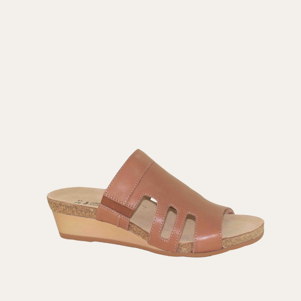 Carriage - Ec5 Mocha Rose