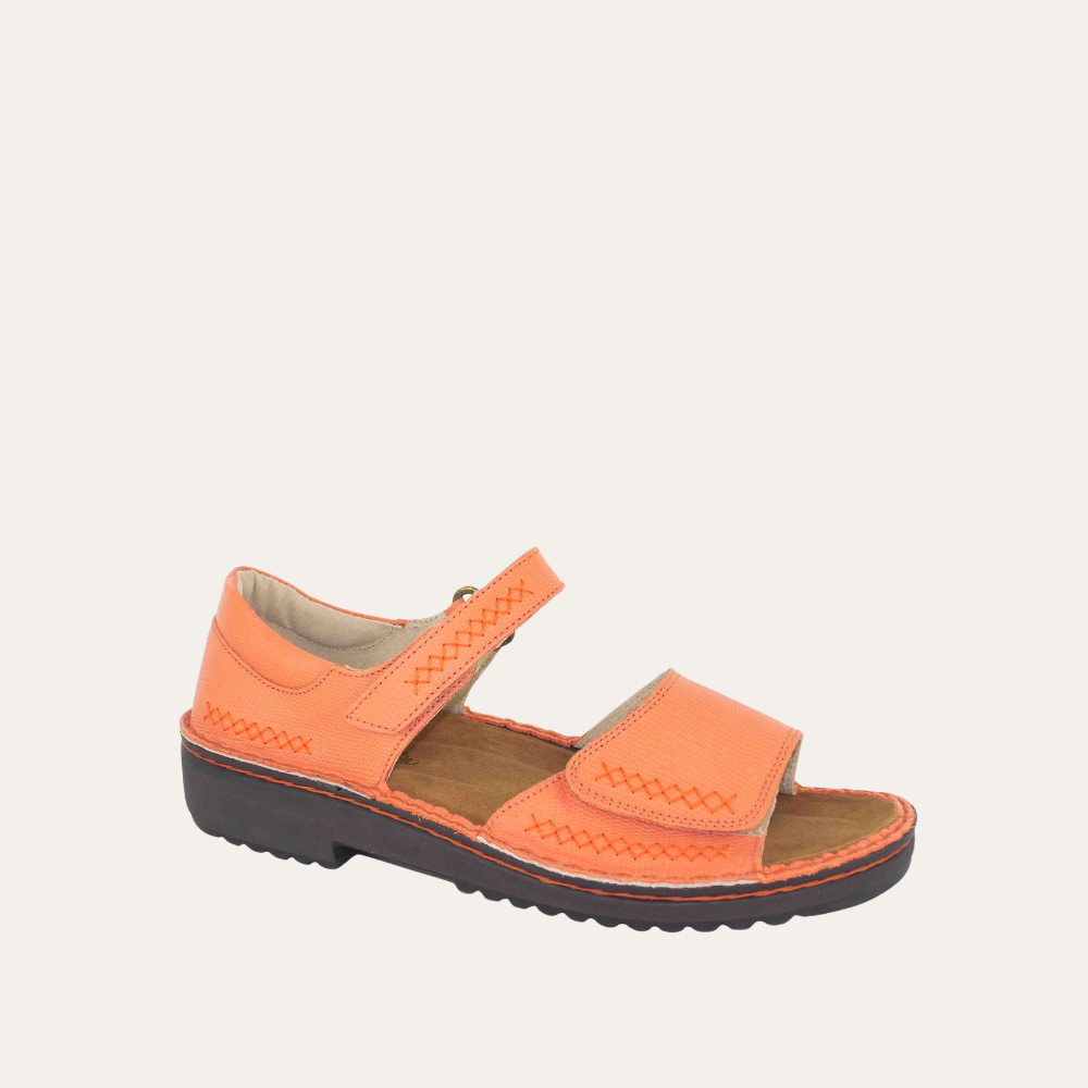 Norel - F19 Peach