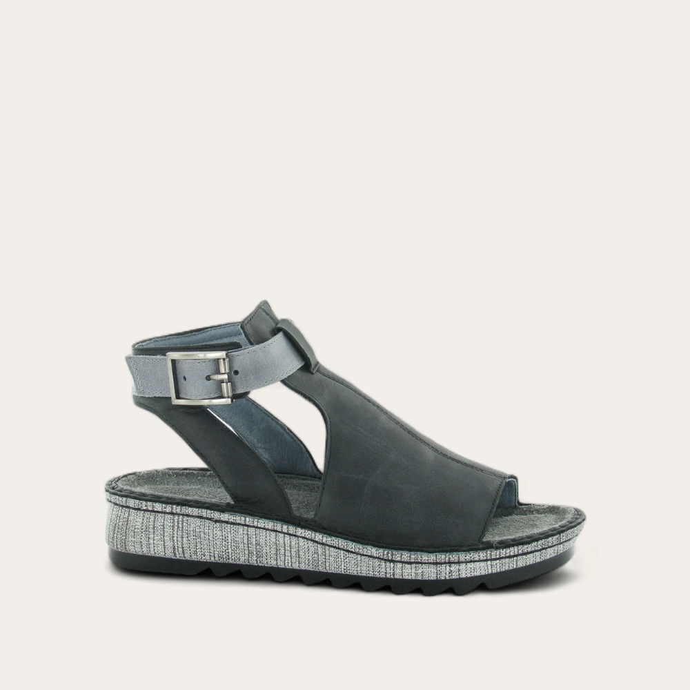 Verbena | Naot Australia