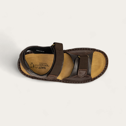 Andes - 301 Walnut