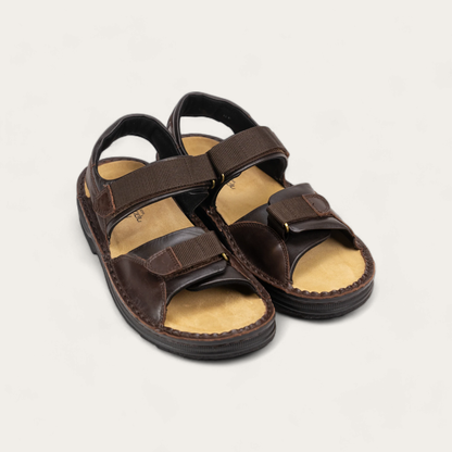 Andes - 301 Walnut