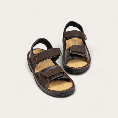 Andes - 301 Walnut