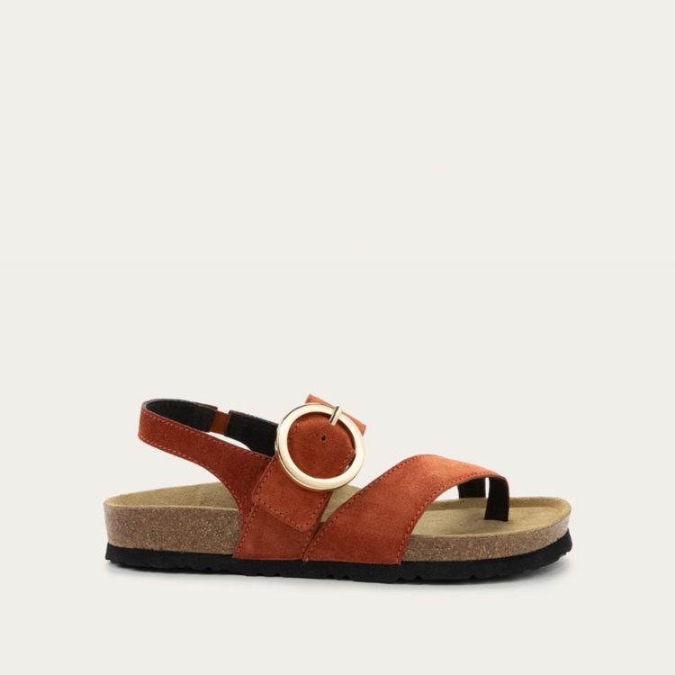 (取寄) ナオト レディース ボルティモア Naot women Baltimore Spice Suede Baltimore | Naot Australia