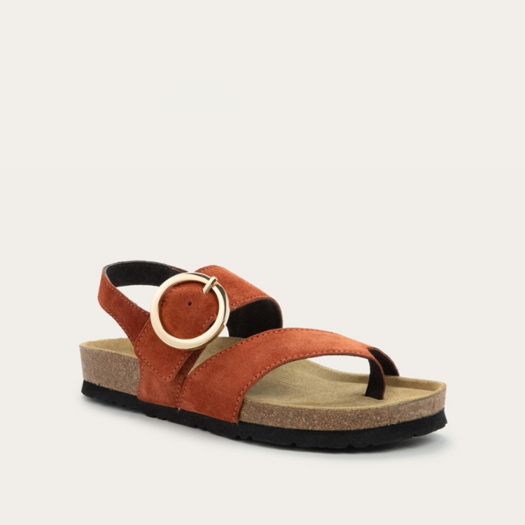 Baltimore | Naot Australia