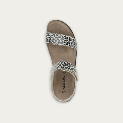 Courtney - BAE Snow Leopard