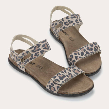 Courtney - EB6 Cheetah