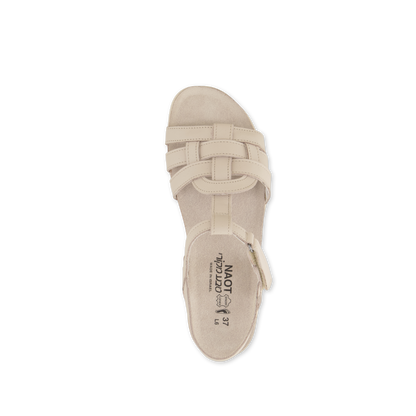 Darin - HAP Ivory