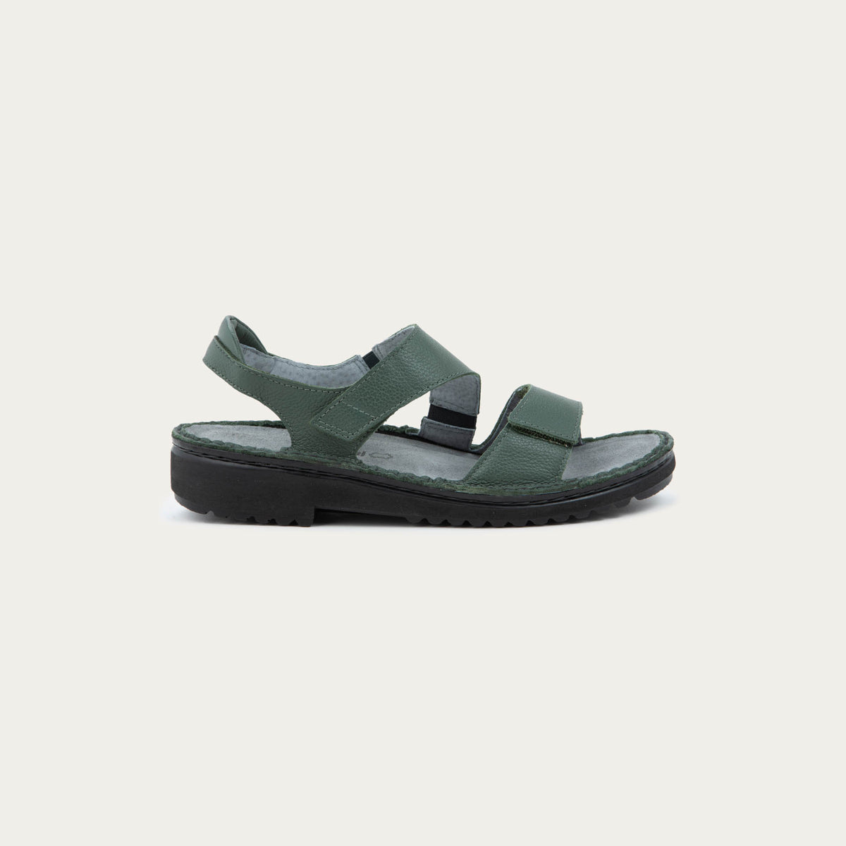 Enid - GAI Root Green