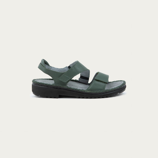 Enid - GAI Root Green