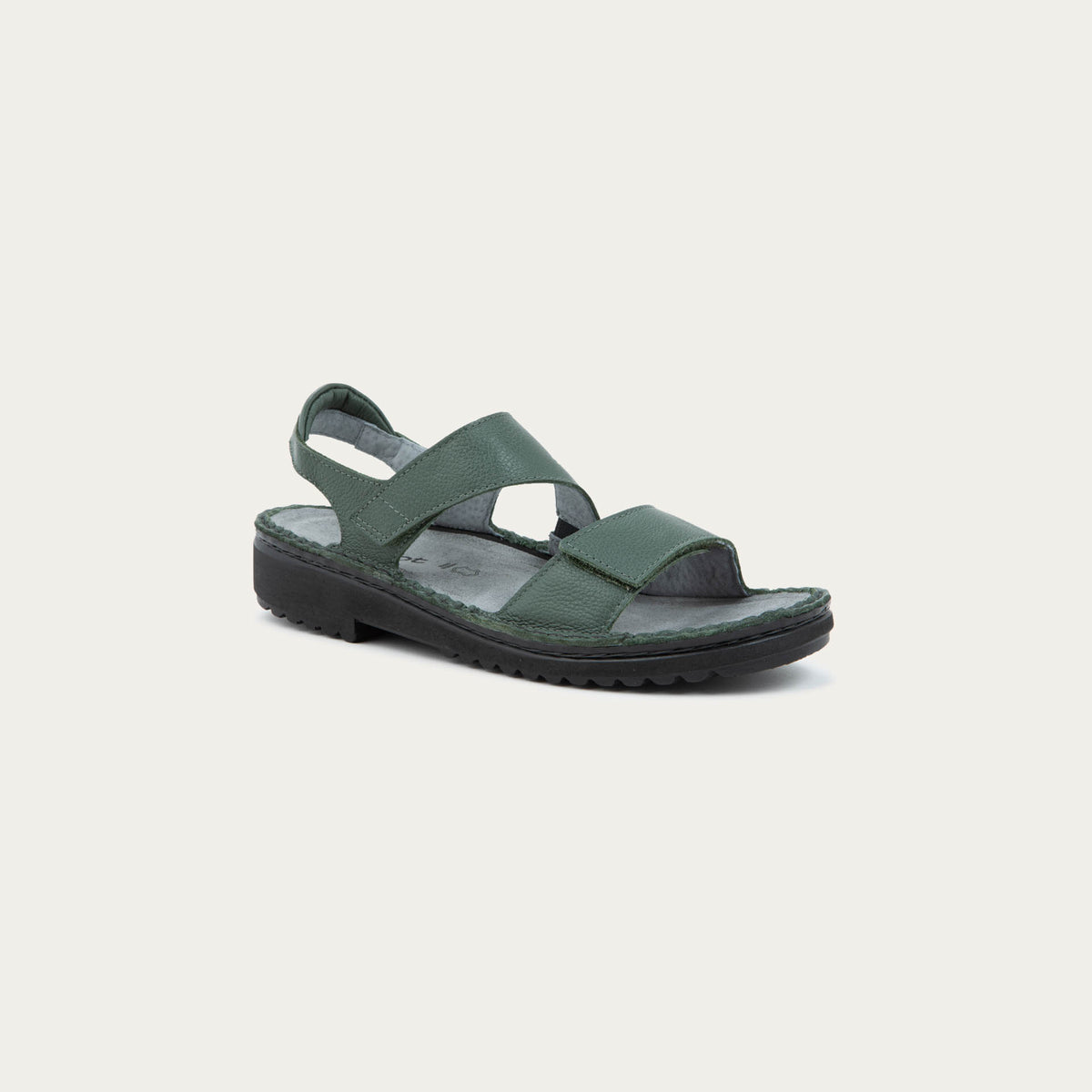 Enid - GAI Root Green