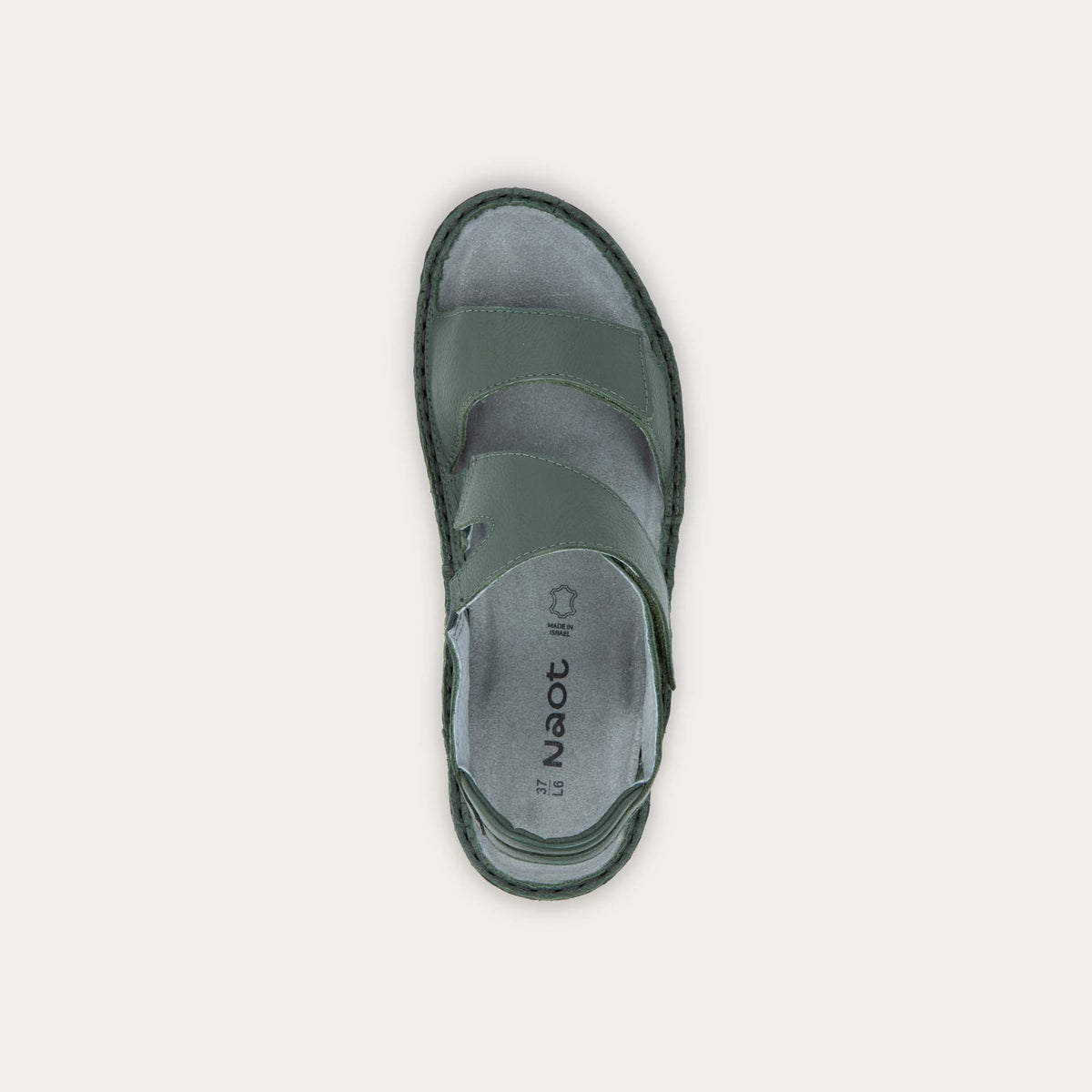 Enid - GAI Root Green