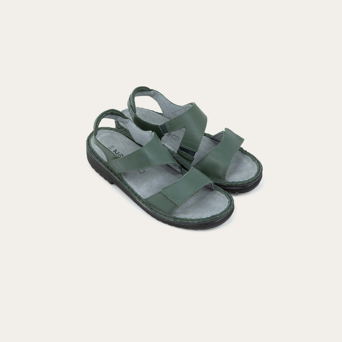 Enid - GAI Root Green