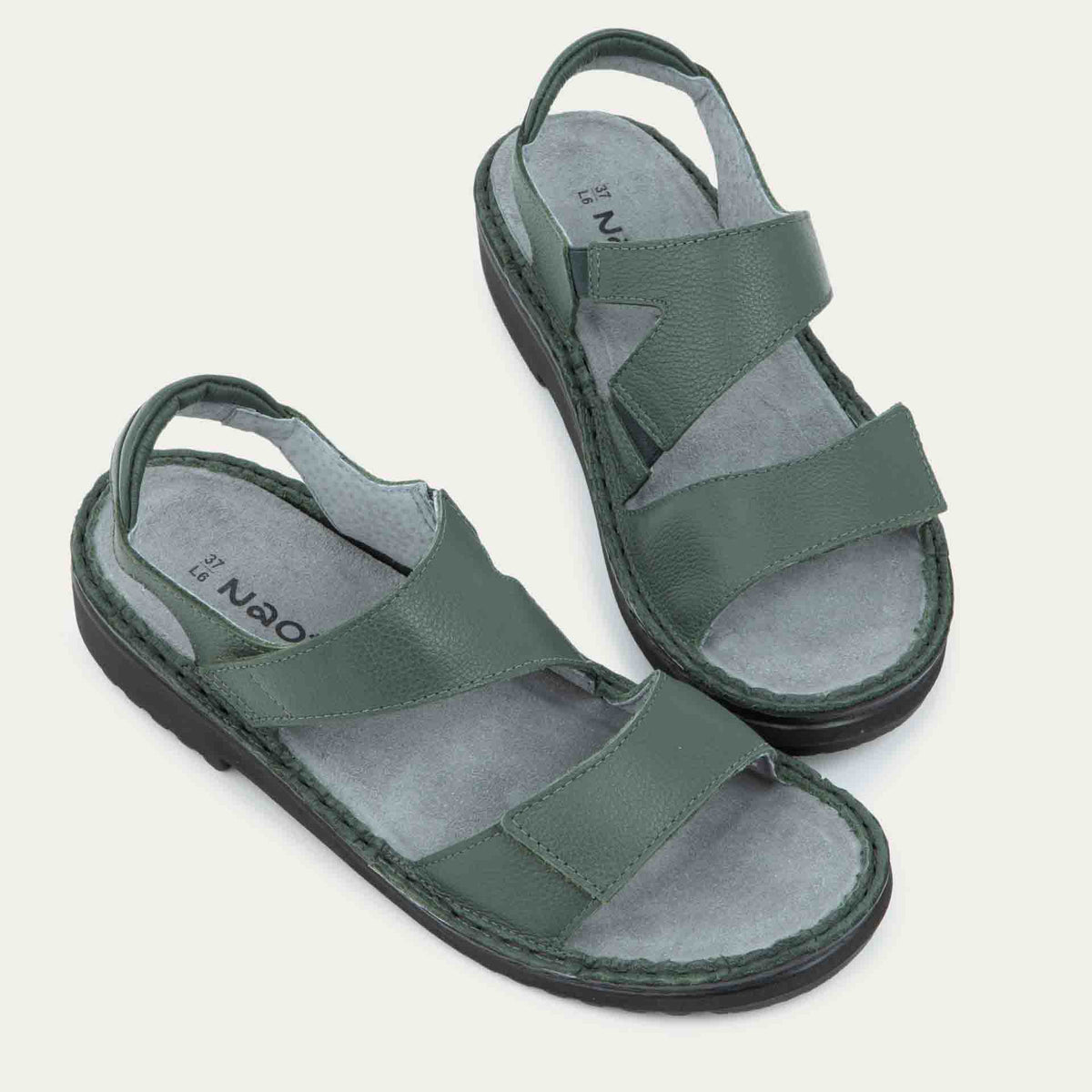Enid - GAI Root Green