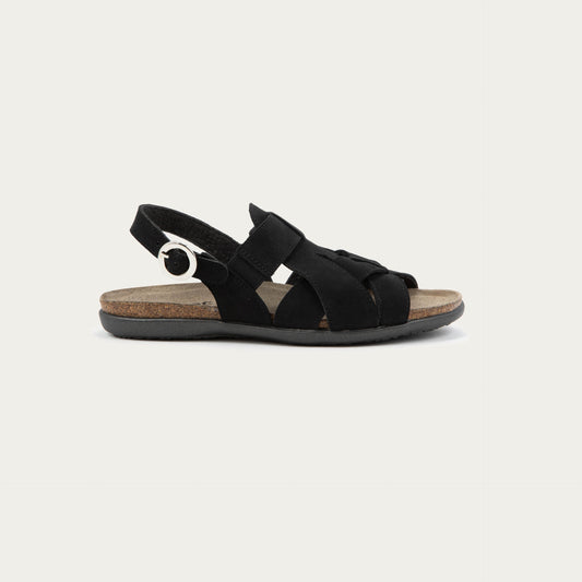 Everly - B12 Black Velvet