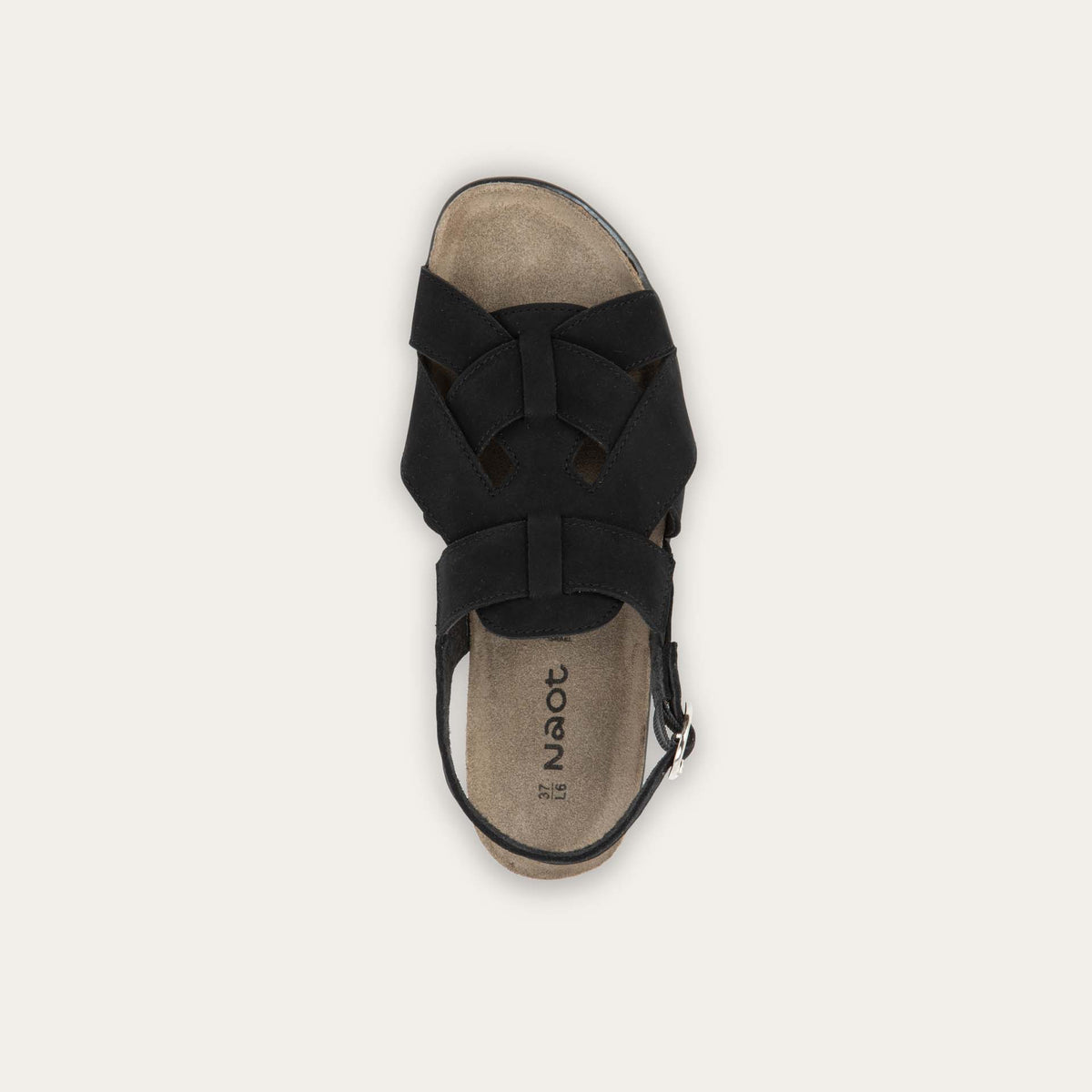 Everly - B12 Black Velvet