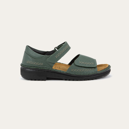 Norel - GAI Root Green