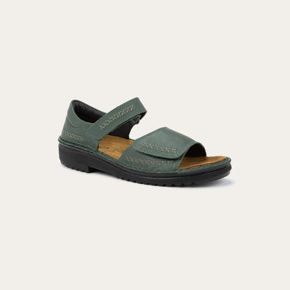 Norel - GAI Root Green