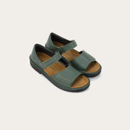 Norel - GAI Root Green