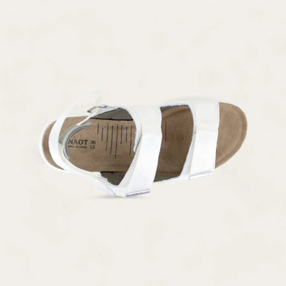 Odyssey - WGT Soft White Silver Combo