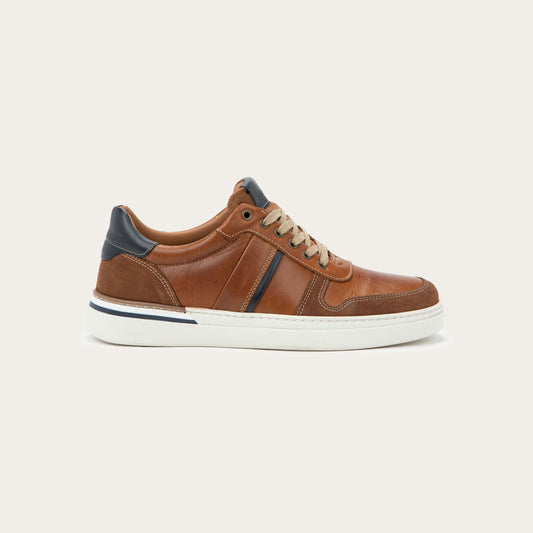 Swift - SCZ Brown Navy